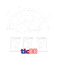 tic88